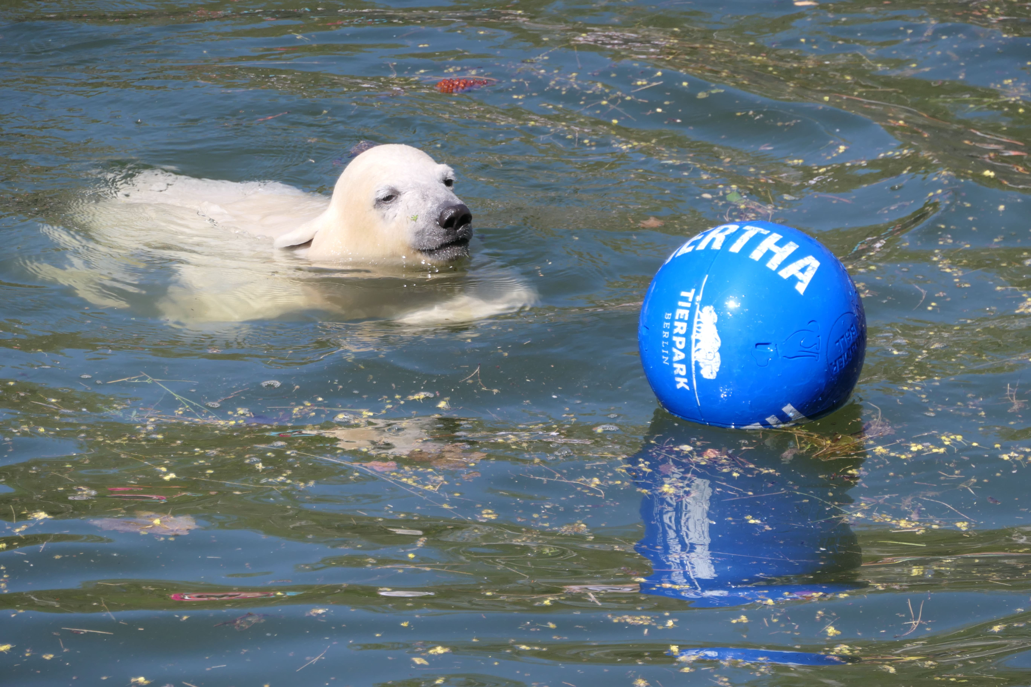 Tierpark Zoo  25
